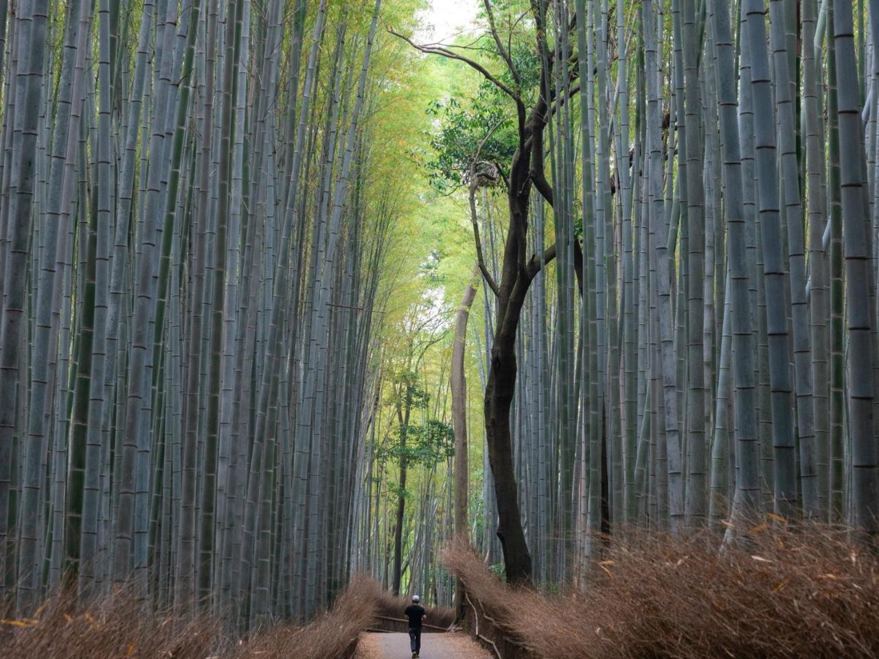 Stay Marutamachi Kyōto Esterno foto