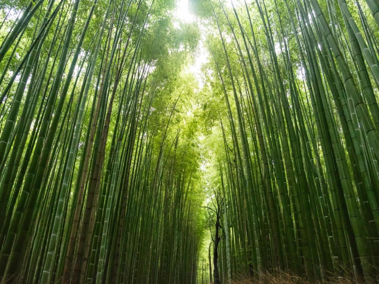 Stay Marutamachi Kyōto Esterno foto